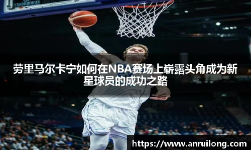 jbo竞博电竞平台